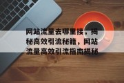 网站流量去哪里接，揭秘高效引流秘籍，网站流量高效引流指南揭秘