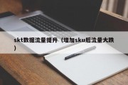 skt数据流量提升（增加sku后流量大跌）
