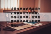流量风暴网站地址揭秘，互联网营销新利器，揭秘流量风暴，引领互联网营销新潮流的网站地址