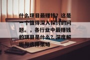 什么项目最赚钱？这是一个值得深入探讨的问题。，各行业中最赚钱的项目是什么？深度解析与选择策略