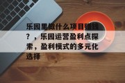乐园里做什么项目赚钱？，乐园运营盈利点探索，盈利模式的多元化选择