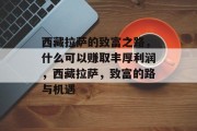 西藏拉萨的致富之路，什么可以赚取丰厚利润，西藏拉萨，致富的路与机遇