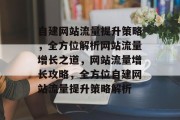 自建网站流量提升策略，全方位解析网站流量增长之道，网站流量增长攻略，全方位自建网站流量提升策略解析