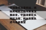 中国最大流量网站，揭秘其崛起之路与未来发展前景，中国流量巨头崛起之路，揭秘发展轨迹与未来展望