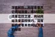 深度解析，如何查看其它网站流量，揭秘网站流量监控之道，揭秘网站流量监控技巧，深度解析查看其他网站流量的秘密