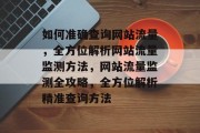 如何准确查询网站流量，全方位解析网站流量监测方法，网站流量监测全攻略，全方位解析精准查询方法