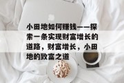 小田地如何赚钱——探索一条实现财富增长的道路，财富增长，小田地的致富之道
