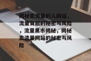 揭秘卖流量的人网站，流量背后的秘密与风险，流量黑市揭秘，揭秘卖流量网站的秘密与风险
