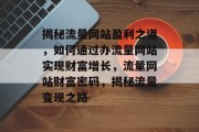 揭秘流量网站盈利之道，如何通过办流量网站实现财富增长，流量网站财富密码，揭秘流量变现之路