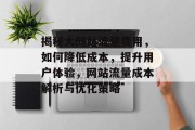 揭秘大网站流量费用，如何降低成本，提升用户体验，网站流量成本解析与优化策略