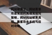 网站被黑了，揭秘黑客攻击背后的真相及应对策略，揭秘网站被黑真相，黑客攻击手段与应对攻略