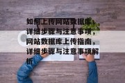 如何上传网站数据库，详细步骤与注意事项，网站数据库上传指南，详细步骤与注意事项解析