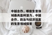 中越合作，哪些生意领域最具盈利潜力，中越合作，政治与经济双赢的生意领域探索