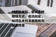 村庄之崛起，尝试各种赚钱方式，成功创业，如何在乡村发掘商机与创造财富