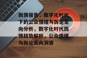 舆情报告，数字化时代下的公众情绪与舆论走向分析，数字化时代舆情趋势解析，公众情绪与舆论走向洞察