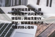 揭秘网站流量UV，提升网站用户访问量的关键指标，网站流量UV揭秘，解锁提升用户访问量的核心指标