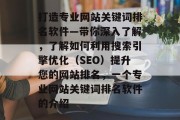 打造专业网站关键词排名软件—带你深入了解，了解如何利用搜索引擎优化（SEO）提升您的网站排名，一个专业网站关键词排名软件的介绍