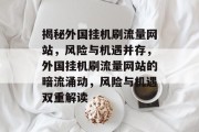 揭秘外国挂机刷流量网站，风险与机遇并存，外国挂机刷流量网站的暗流涌动，风险与机遇双重解读