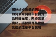 揭秘给点流量的网站，如何利用网络平台提升品牌曝光度，网络流量奥秘，揭秘提升品牌曝光度的流量平台策略