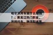 哈尔滨开车做什么赚钱？，黑龙江热门职业，开网约车、物流配送等