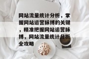 网站流量统计分析，掌握网站运营脉搏的关键，精准把握网站运营脉搏，网站流量统计分析全攻略