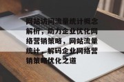 网站访问流量统计概念解析，助力企业优化网络营销策略，网站流量统计，解码企业网络营销策略优化之道