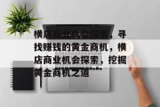 横店商业机会探索，寻找赚钱的黄金商机，横店商业机会探索，挖掘黄金商机之道