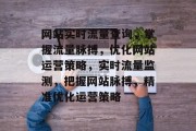 网站实时流量查询，掌握流量脉搏，优化网站运营策略，实时流量监测，把握网站脉搏，精准优化运营策略