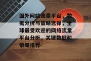 国外网站流量平台，数据分析与策略选择，全球最受欢迎的网络流量平台分析，关键数据和策略推荐