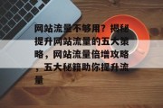 网站流量不够用？揭秘提升网站流量的五大策略，网站流量倍增攻略，五大秘籍助你提升流量