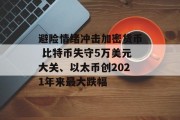 避险情绪冲击加密货币 比特币失守5万美元大关、以太币创2021年来最大跌幅