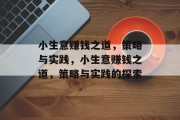 小生意赚钱之道,策略与实践,小生意赚钱之道,策略与实践的探索 小生意赚钱之道,策略与实践,小生意赚钱之道,策略与实践的探索