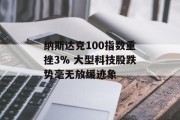 纳斯达克100指数重挫3% 大型科技股跌势毫无放缓迹象