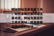 揭秘网站流量查看工具，如何准确把握网站流量动态，网站流量监控工具大揭秘，精准把握流量动态的秘诀