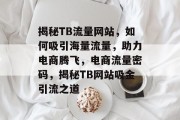 揭秘TB流量网站，如何吸引海量流量，助力电商腾飞，电商流量密码，揭秘TB网站吸金引流之道