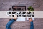 武汉网站优化公司的全面解析，武汉网站优化公司，全方位解析与服务介绍
