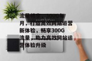 流量畅享，300G每月，打造高效网站运营新体验，畅享300G流量，助力高效网站运营体验升级