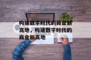 构建数字时代的商业新高地，构建数字时代的商业新高地