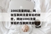 100G流量网站，揭秘互联网流量背后的秘密，揭秘100G流量背后的互联网流量秘密