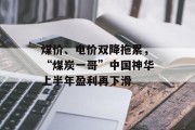 煤价、电价双降拖累，“煤炭一哥”中国神华上半年盈利再下滑
