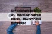 探寻公司如何盈利的秘诀,揭秘成功公司的盈利秘籍,揭示企业盈利模式的奥秘 探寻公司如何盈利的秘诀,揭秘成功公司的盈利秘籍,揭示企业盈利模式的奥秘