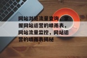 网站浏览流量查询，掌握网站运营的晴雨表，网站流量监控，网站运营的晴雨表揭秘