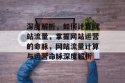 深度解析，如何计算网站流量，掌握网站运营的命脉，网站流量计算与运营命脉深度解析