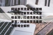 网站单页流量提升策略，如何让单页成为流量吸金池，打造流量吸金单页，网站单页流量提升策略全解析