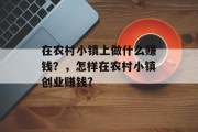 在农村小镇上做什么赚钱？，怎样在农村小镇创业赚钱?