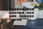 网站流量狂掉，揭秘原因及应对策略，网站流量骤降，揭秘幕后原因与应对攻略