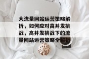 大流量网站运营策略解析，如何应对高并发挑战，高并发挑战下的流量网站运营策略全解析
