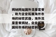 揭秘网站国外流量套餐，助力企业拓展海外市场的秘密武器，海外流量套餐揭秘，企业拓展国际市场的秘密利器