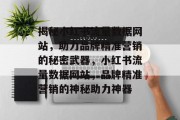 揭秘小红书流量数据网站，助力品牌精准营销的秘密武器，小红书流量数据网站，品牌精准营销的神秘助力神器