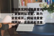 揭秘真实网站流量查询，掌握网站流量，助力企业成长，网站流量查询揭秘，企业成长流量攻略